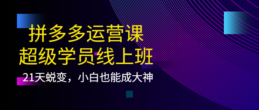 拼多多运营课：超级学员线上班，21天蜕变，小白也能成大神网创吧-网创项目资源站-副业项目-创业项目-搞钱项目八海掘金网创吧