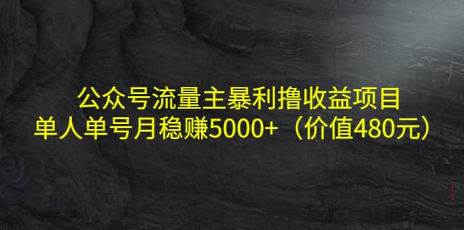 公众号流量主暴利撸收益项目，单人单号月稳赚5000+（价值480元）网创吧-网创项目资源站-副业项目-创业项目-搞钱项目八海掘金网创吧