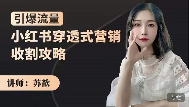 小红书穿透式营销收割攻略，引爆流量，助你玩转小红书网创吧-网创项目资源站-副业项目-创业项目-搞钱项目八海掘金网创吧