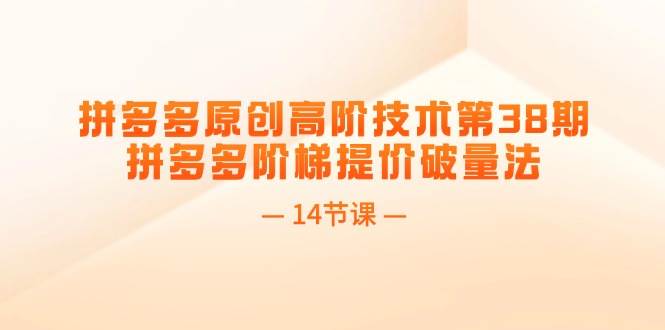 拼多多原创高阶技术第38期，拼多多阶梯提价破量法（14节课）网创吧-网创项目资源站-副业项目-创业项目-搞钱项目八海掘金网创吧