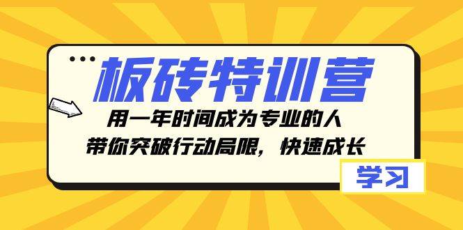 板砖特训营，用一年时间成为专业的人，带你突破行动局限，快速成长网创吧-网创项目资源站-副业项目-创业项目-搞钱项目八海掘金网创吧