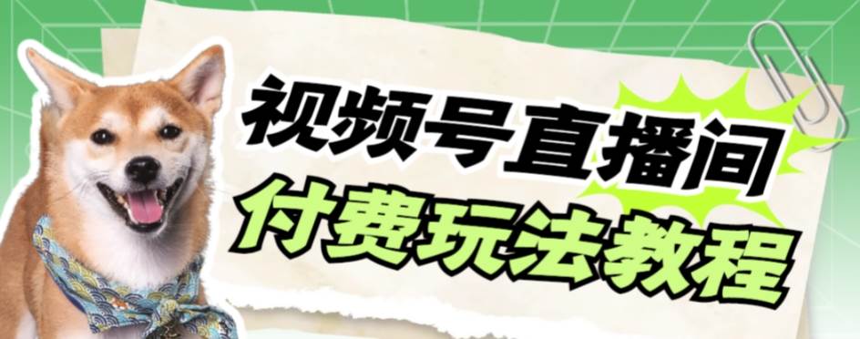 视频号美女付费无人直播，轻松日入500+【详细玩网创吧-网创项目资源站-副业项目-创业项目-搞钱项目八海掘金网创吧