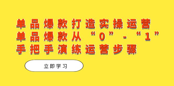 单品爆款打造实操运营，单品爆款从“0”-“1”手把手演练运营步骤网创吧-网创项目资源站-副业项目-创业项目-搞钱项目八海掘金网创吧