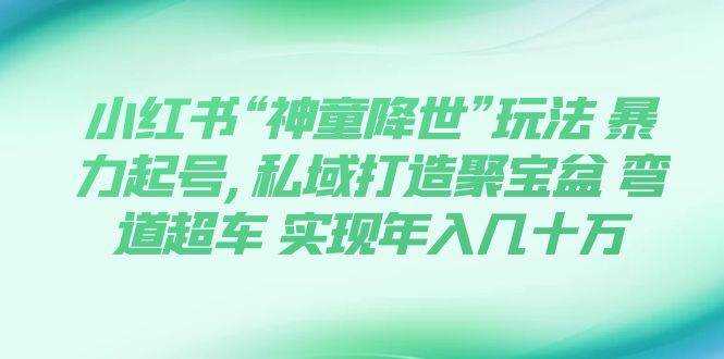 小红书“神童降世”玩法 暴力起号,私域打造聚宝盆 弯道超车 实现年入几十万网创吧-网创项目资源站-副业项目-创业项目-搞钱项目八海掘金网创吧