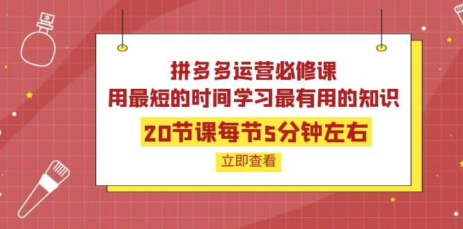 拼多多运营必修课：20节课每节5分钟左右，用最短的时间学习最有用的知识网创吧-网创项目资源站-副业项目-创业项目-搞钱项目八海掘金网创吧