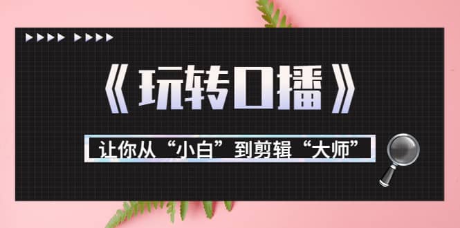 月营业额700万+大佬教您《玩转口播》让你从“小白”到剪辑“大师”网创吧-网创项目资源站-副业项目-创业项目-搞钱项目八海掘金网创吧