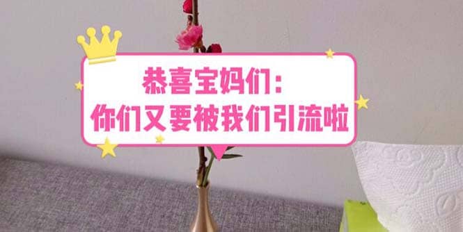 恭喜宝妈们：你们又要被我们引流了（教程+222g资料）网创吧-网创项目资源站-副业项目-创业项目-搞钱项目八海掘金网创吧