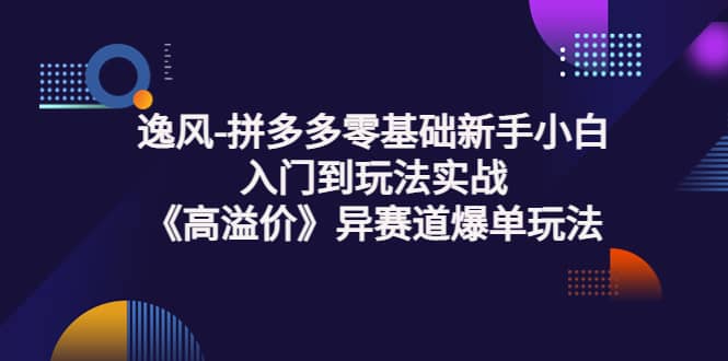拼多多零基础新手小白入门到玩法实战《高溢价》异赛道爆单玩法实操课网创吧-网创项目资源站-副业项目-创业项目-搞钱项目八海掘金网创吧