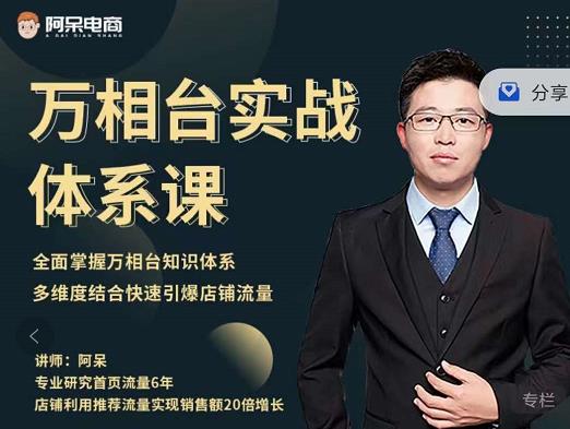 阿呆-万相台实战体系课，帮您全面掌握万相台知识体系网创吧-网创项目资源站-副业项目-创业项目-搞钱项目八海掘金网创吧