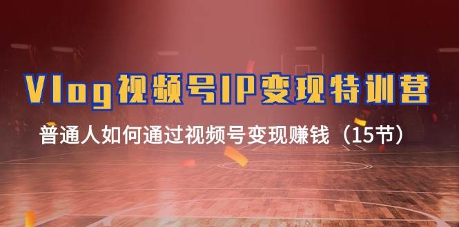 Vlog 视频号IP变现特训营，普通人如何通过视频号变现赚钱（15节）网创吧-网创项目资源站-副业项目-创业项目-搞钱项目八海掘金网创吧