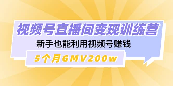 视频号直播间变现训练营网创吧-网创项目资源站-副业项目-创业项目-搞钱项目八海掘金网创吧