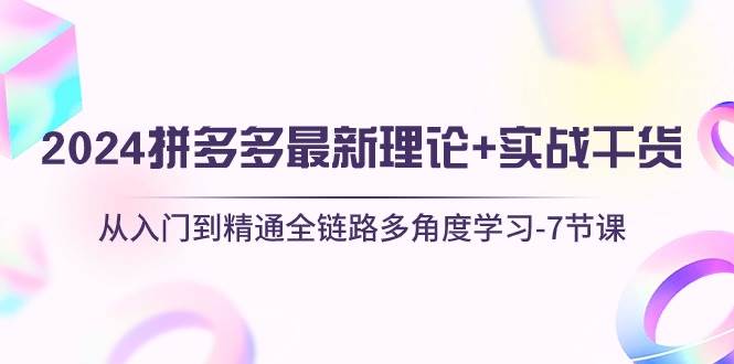 2024拼多多 最新理论+实战干货，从入门到精通全链路多角度学习-7节课网创吧-网创项目资源站-副业项目-创业项目-搞钱项目八海掘金网创吧