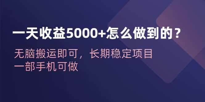 一天收益5000+怎么做到的？无脑搬运即可，长期稳定项目，一部手机可做网创吧-网创项目资源站-副业项目-创业项目-搞钱项目八海掘金网创吧