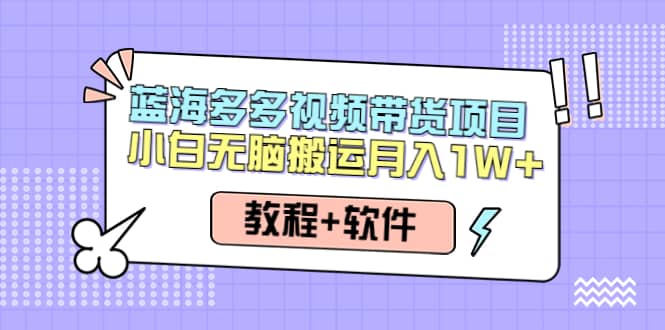 人人都能操作的蓝海多多视频带货项目 小白无脑搬运（教程+软件）网创吧-网创项目资源站-副业项目-创业项目-搞钱项目八海掘金网创吧