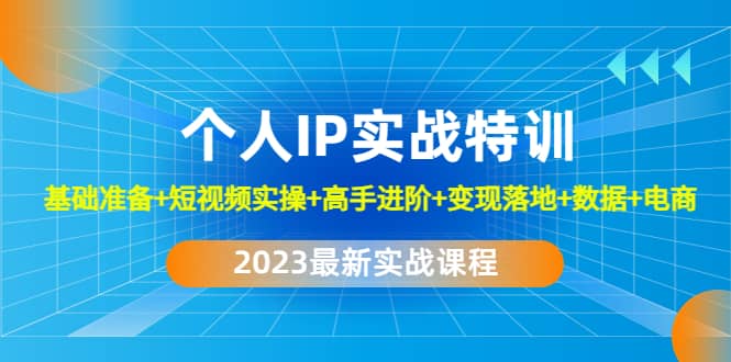 2023个人IP实战特训：基础准备+短视频实操+高手进阶+变现落地+数据+电商网创吧-网创项目资源站-副业项目-创业项目-搞钱项目八海掘金网创吧