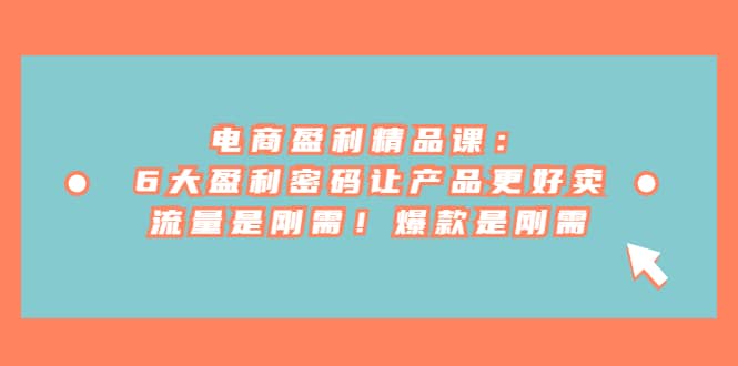 电商 盈利精品课：6大盈利 密码让产品更好卖，流量是刚需！爆款是刚需网创吧-网创项目资源站-副业项目-创业项目-搞钱项目八海掘金网创吧