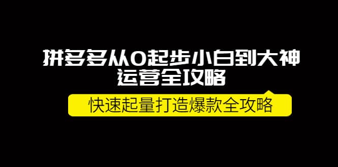 拼多多从0起步小白到大神运营全攻略网创吧-网创项目资源站-副业项目-创业项目-搞钱项目八海掘金网创吧