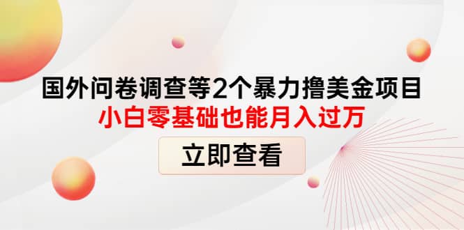 国外问卷调查等2个暴力撸美元项目，小白零基础也能月入过万网创吧-网创项目资源站-副业项目-创业项目-搞钱项目八海掘金网创吧