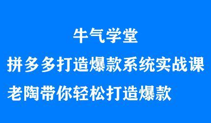 牛气学堂拼多多打造爆款系统实战课，老陶带你轻松打造爆款网创吧-网创项目资源站-副业项目-创业项目-搞钱项目八海掘金网创吧