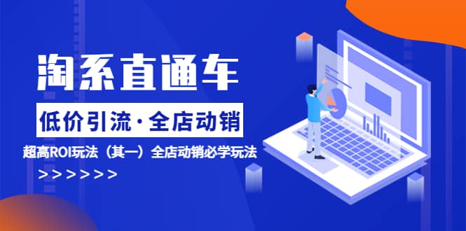 淘系直通车《低价·引流 全店·动销》超高ROI玩法（其一）全店动销必学玩法网创吧-网创项目资源站-副业项目-创业项目-搞钱项目八海掘金网创吧