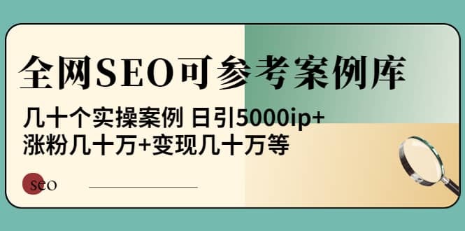 《全网SEO可参考案例库》几十个实操案例网创吧-网创项目资源站-副业项目-创业项目-搞钱项目八海掘金网创吧