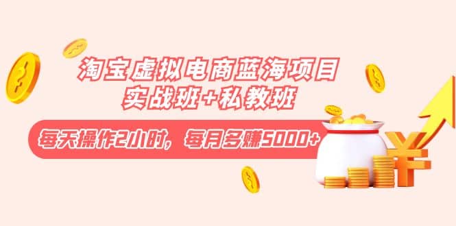 淘宝虚拟电商蓝海项目实战班+私教班网创吧-网创项目资源站-副业项目-创业项目-搞钱项目八海掘金网创吧