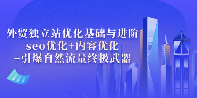 外贸独立站优化基础与进阶，seo优化+内容优化+引爆自然流量终极武器网创吧-网创项目资源站-副业项目-创业项目-搞钱项目八海掘金网创吧