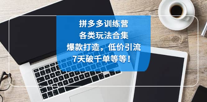 拼多多训练营：各玩法合集，爆款打造，低价引流，7天破千单等等网创吧-网创项目资源站-副业项目-创业项目-搞钱项目八海掘金网创吧
