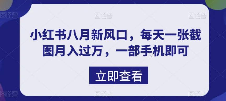 八月新风口，小红书虚拟项目一天收入1000+，实战揭秘网创吧-网创项目资源站-副业项目-创业项目-搞钱项目八海掘金网创吧
