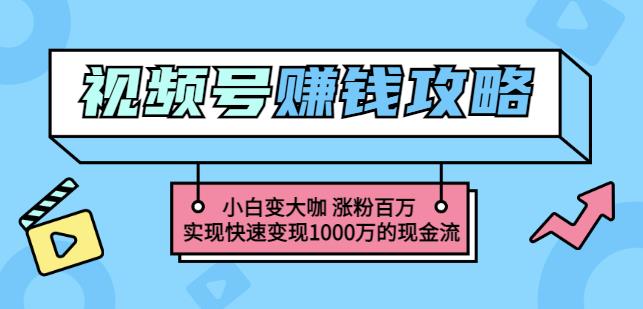 玩转微信视频号赚钱：小白变大咖涨粉百万实现快速变现1000万的现金流网创吧-网创项目资源站-副业项目-创业项目-搞钱项目八海掘金网创吧