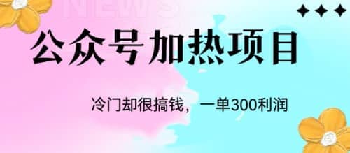 冷门公众号加热项目，一单利润300+网创吧-网创项目资源站-副业项目-创业项目-搞钱项目八海掘金网创吧