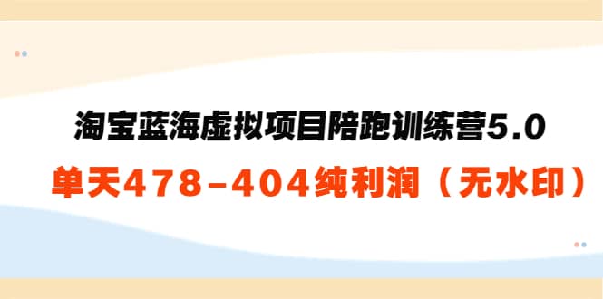 淘宝蓝海虚拟项目陪跑训练营5.0：单天478纯利润（无水印）网创吧-网创项目资源站-副业项目-创业项目-搞钱项目八海掘金网创吧
