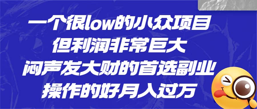 一个很low的小众项目，但利润非常巨大，闷声发大财的首选副业，月入过万网创吧-网创项目资源站-副业项目-创业项目-搞钱项目八海掘金网创吧