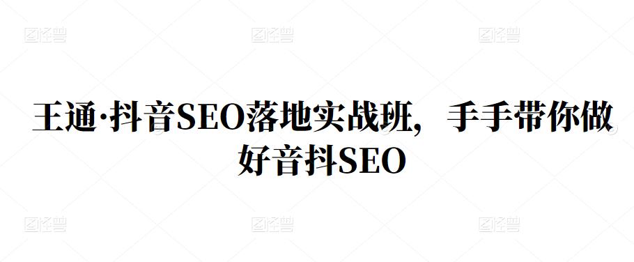 王通·抖音SEO落地实战班，手‬手带你做好音抖‬‬SEO网创吧-网创项目资源站-副业项目-创业项目-搞钱项目八海掘金网创吧
