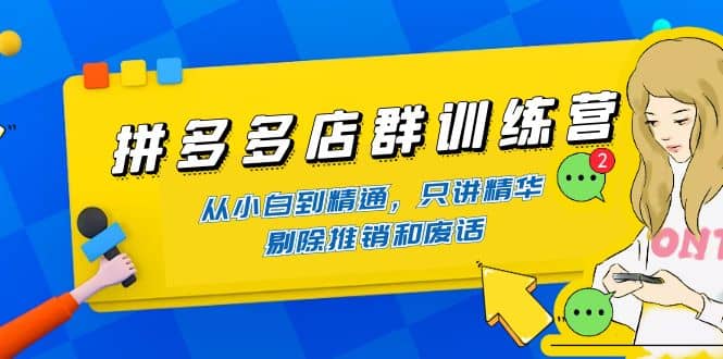 拼多多店群训练营：从小白到精通，只讲精华，剔除推销和废话网创吧-网创项目资源站-副业项目-创业项目-搞钱项目八海掘金网创吧