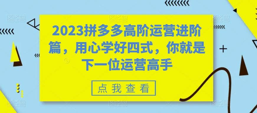 2023拼多多高阶运营进阶篇，用心学好四式，你就是下一位运营高手网创吧-网创项目资源站-副业项目-创业项目-搞钱项目八海掘金网创吧