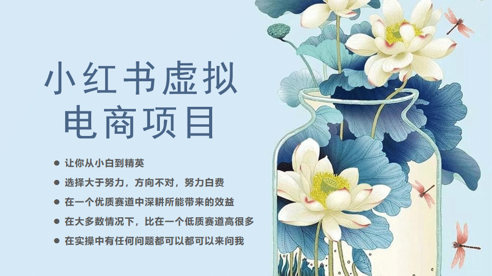 小红书虚拟电商从0到1，让你从小白到精英（20节实操课程）网创吧-网创项目资源站-副业项目-创业项目-搞钱项目八海掘金网创吧