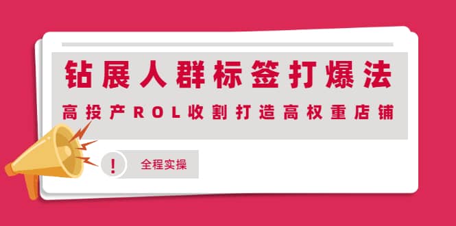 钻展人群标签打爆法，高投产ROL收割打造高权重店铺(全程实操)网创吧-网创项目资源站-副业项目-创业项目-搞钱项目八海掘金网创吧