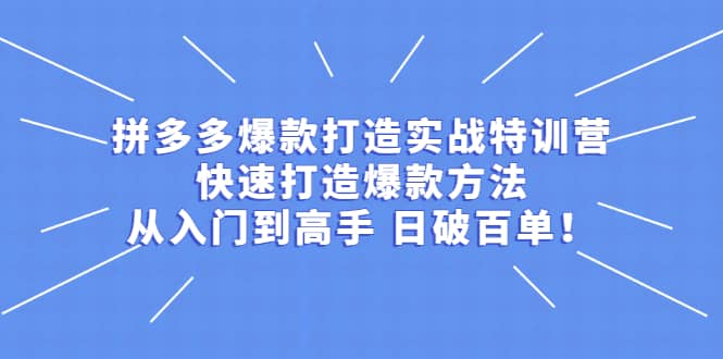 拼多多爆款打造实战特训营：快速打造爆款方法，从入门到高手 日破百单网创吧-网创项目资源站-副业项目-创业项目-搞钱项目八海掘金网创吧