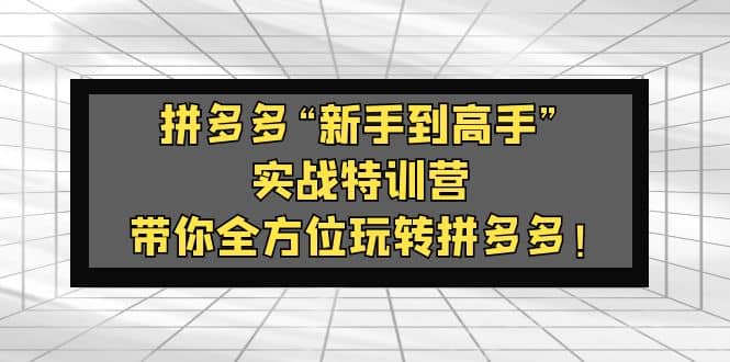 拼多多“新手到高手”实战特训营：带你全方位玩转拼多多网创吧-网创项目资源站-副业项目-创业项目-搞钱项目八海掘金网创吧