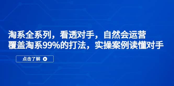 淘系全系列，看透对手，自然会运营，覆盖淘系99%·打法，实操案例读懂对手网创吧-网创项目资源站-副业项目-创业项目-搞钱项目八海掘金网创吧