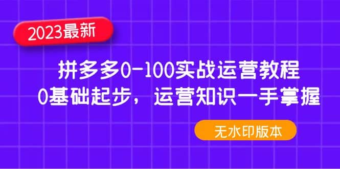 2023拼多多0-100实战运营教程，0基础起步，运营知识一手掌握（无水印）网创吧-网创项目资源站-副业项目-创业项目-搞钱项目八海掘金网创吧