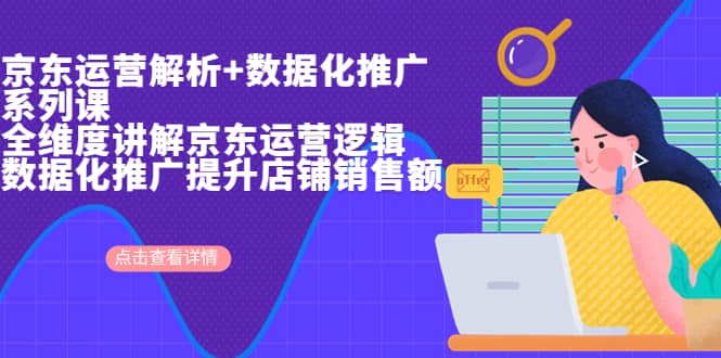 京东运营解析与数据化推广系列课，全维度讲解京东运营逻辑+数据化推广提升店铺销售额网创吧-网创项目资源站-副业项目-创业项目-搞钱项目八海掘金网创吧