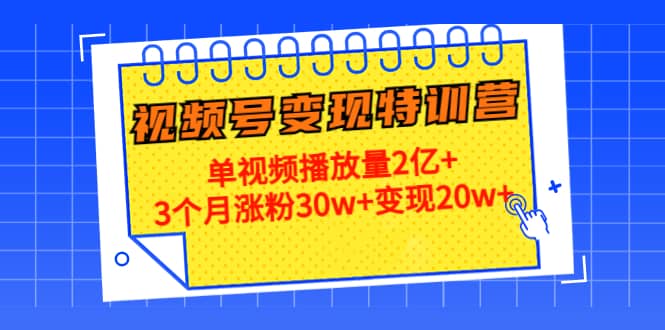 20天视频号变现特训营：单视频播放量2亿+网创吧-网创项目资源站-副业项目-创业项目-搞钱项目八海掘金网创吧