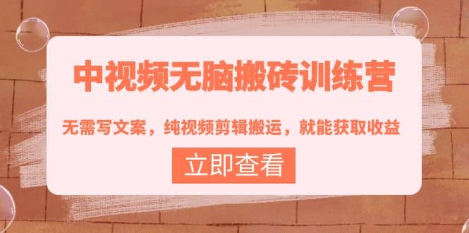 中视频无脑搬砖训练营：无需写文案，纯视频剪辑搬运，就能获取收益网创吧-网创项目资源站-副业项目-创业项目-搞钱项目八海掘金网创吧