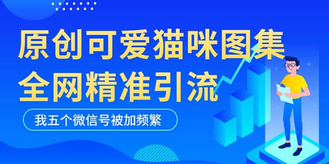 黑科技纯原创可爱猫咪图片，全网精准引流，实操5个VX号被加频繁网创吧-网创项目资源站-副业项目-创业项目-搞钱项目八海掘金网创吧