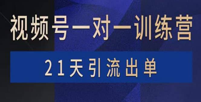 视频号训练营：带货，涨粉，直播，游戏，四大变现新方向，21天引流出单网创吧-网创项目资源站-副业项目-创业项目-搞钱项目八海掘金网创吧