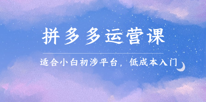 拼多多运营课，适合小白初涉平台，低成本入门网创吧-网创项目资源站-副业项目-创业项目-搞钱项目八海掘金网创吧