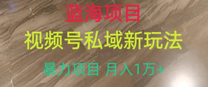 蓝海项目，视频号私域新玩法，暴力项目月入1万+【揭秘】网创吧-网创项目资源站-副业项目-创业项目-搞钱项目八海掘金网创吧