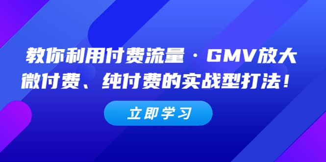 教你利用付费流量·GMV放大，微付费、纯付费的实战型打法网创吧-网创项目资源站-副业项目-创业项目-搞钱项目八海掘金网创吧